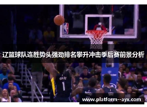 辽篮球队连胜势头强劲排名攀升冲击季后赛前景分析