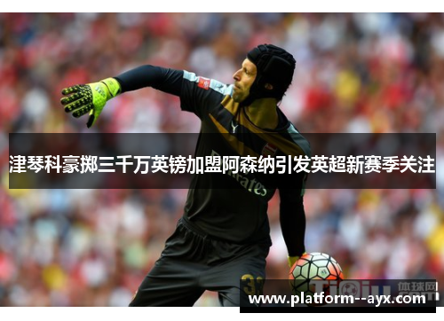 津琴科豪掷三千万英镑加盟阿森纳引发英超新赛季关注